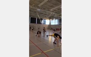 video-1581437529