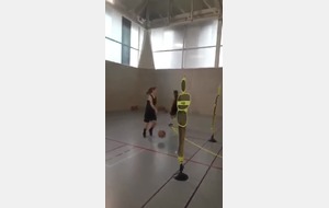 video-1581437516